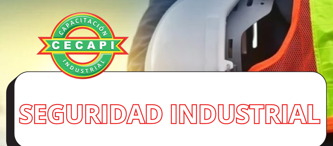 CECAPI CENTRO DE CAPACITACION INDUSTRIAL SEGURIDAD INDUSTRIAL CECAPI