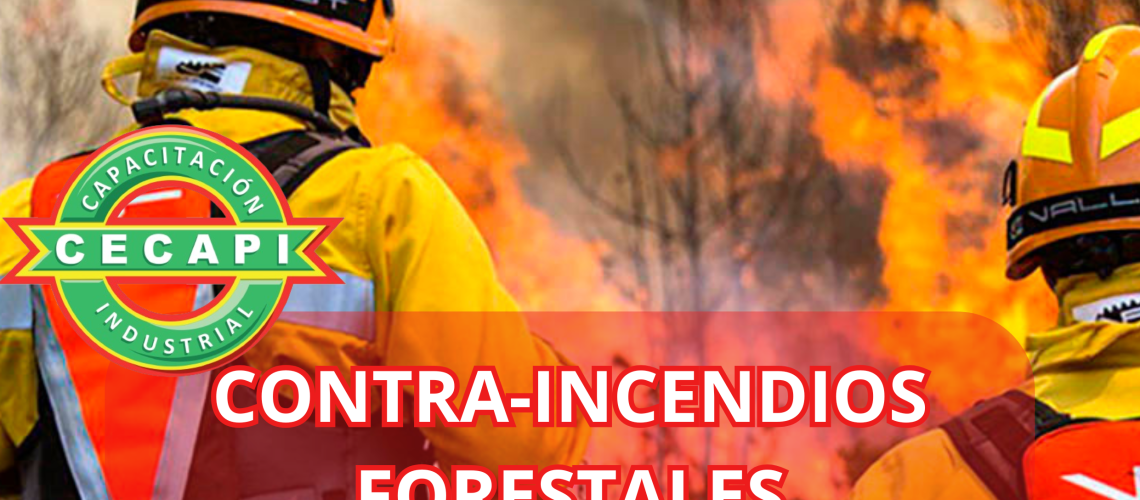 _CECAPI CONTRA-INCENDIOS FORESTALES CECAPI