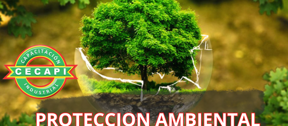 CENTRO DE CAPACITACION CECAPI PROTECCION AMBIENTAL CECAPI